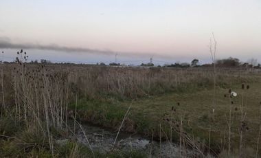 Quinta de 4.800 m2 en Ingeniero Allan, Florencio Varela, zona rural