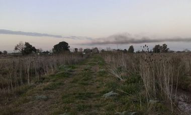 Quinta de 4.800 m2 en Ingeniero Allan, Florencio Varela, zona rural
