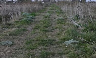 Quinta de 4.800 m2 en Ingeniero Allan, Florencio Varela, zona rural