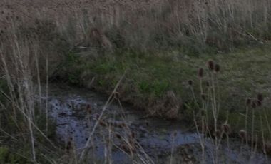 Quinta de 4.800 m2 en Ingeniero Allan, Florencio Varela, zona rural