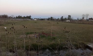 Quinta de 4.800 m2 en Ingeniero Allan, Florencio Varela, zona rural