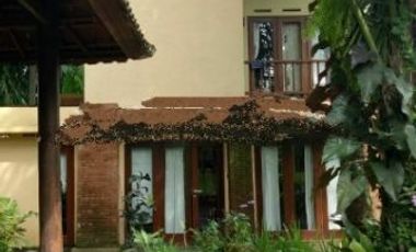 Dijual Villa Tropical dengan nuansa baki yang masih kental