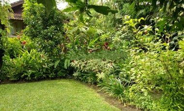 Dijual Villa Tropical dengan nuansa baki yang masih kental