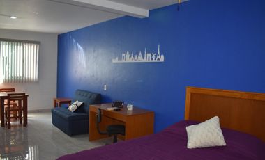 suite ejecutiva ideal para vivir de manera individual centro medico