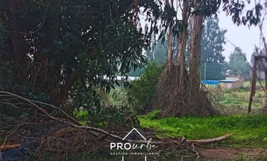Parcela en Venta en Parcela35, Colonia Agricola de Puangue