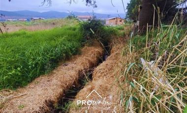 Parcela en Venta en Parcela35, Colonia Agricola de Puangue