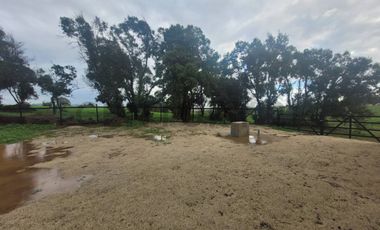 Venta luminosa casa en plena naturaleza Santa Adela