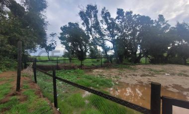 Venta luminosa casa en plena naturaleza Santa Adela