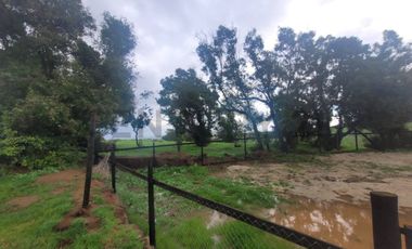 Venta luminosa casa en plena naturaleza Santa Adela