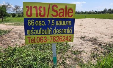ขายที่ดินสันกำแพง