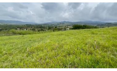 VENTA DE LOTES EN PAVAS -   ID 425