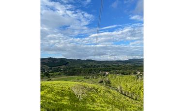 VENTA DE LOTES EN PAVAS -   ID 425