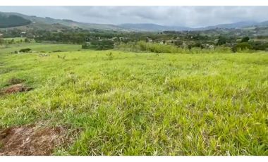 VENTA DE LOTES EN PAVAS -   ID 425