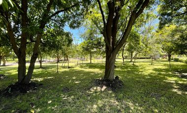 Venta de Terreno en Xoxocotla