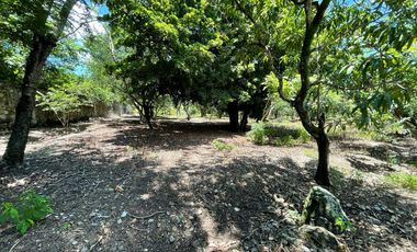 Venta de Terreno en Xoxocotla