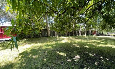 Venta de Terreno en Xoxocotla