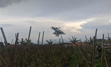 Jual kebun sayuran produktif pinggir jalan akses Mobil DiDesa Cipada Cisarua Bandung Barat