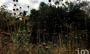 Casa en venta, San Juan, Malinalco, México