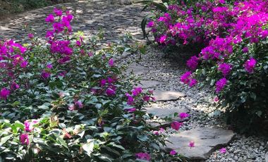 Casa en venta, San Juan, Malinalco, México