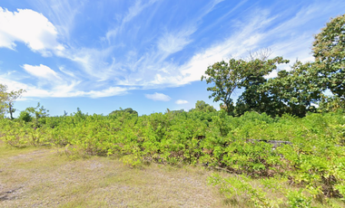 Freehold - High-Value Pink Zone Land in Luxury Area Nusa Dua, Bali with Ocean & Mountain Views