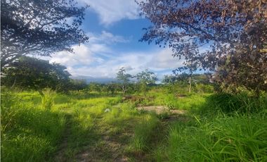 Se venden hectáreas en Punta Barco