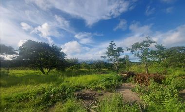 Se venden hectáreas en Punta Barco