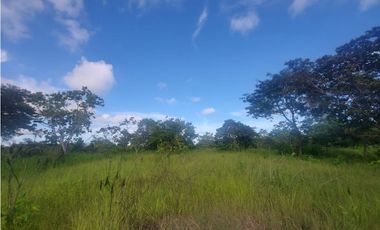 Se venden hectáreas en Punta Barco