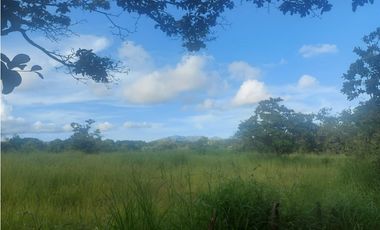 Se venden hectáreas en Punta Barco