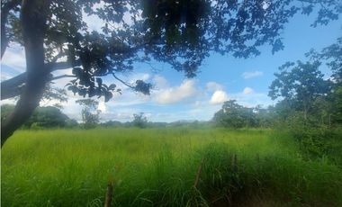 Se venden hectáreas en Punta Barco