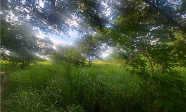 Se venden hectáreas en Punta Barco
