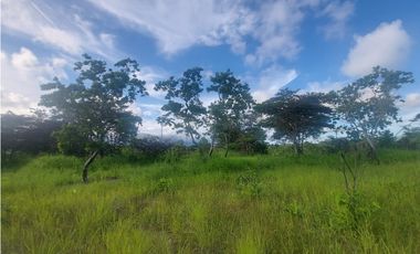 Se venden hectáreas en Punta Barco