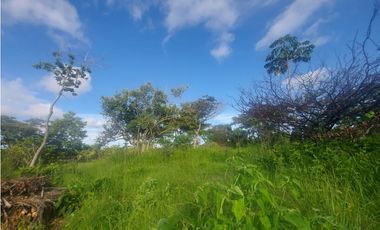 Se venden hectáreas en Punta Barco
