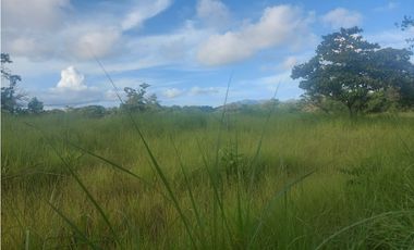 Se venden hectáreas en Punta Barco