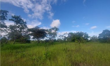 Se venden hectáreas en Punta Barco