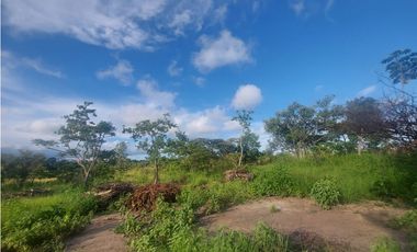 Se venden hectáreas en Punta Barco