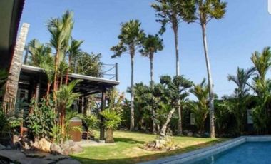 Dijual Murah Villa Luas 2000 m2 Di Sanur Denpasar Bali