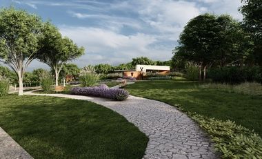 Terrenos en venta Chiquilistlán, jalisco a 20 minutos de Tapalpa Pueblo Mágico