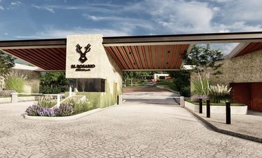 Terrenos en venta Chiquilistlán, jalisco a 20 minutos de Tapalpa Pueblo Mágico