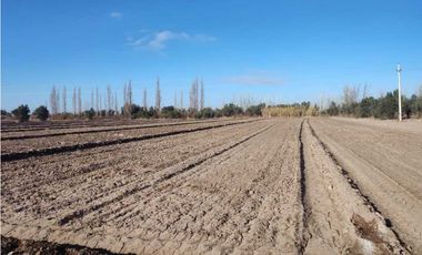 VENTA DE EXCELENTE FINCA 21 HAS EN CALLE SALADO, RIVADAVIA- MZA.