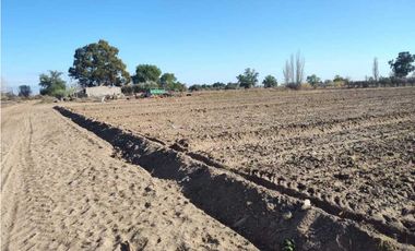 VENTA DE EXCELENTE FINCA 21 HAS EN CALLE SALADO, RIVADAVIA- MZA.