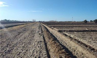 VENTA DE EXCELENTE FINCA 21 HAS EN CALLE SALADO, RIVADAVIA- MZA.