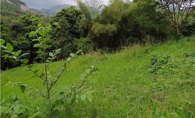 VENTA LOTE  SUROESTE ANTIOQUEÑO U C