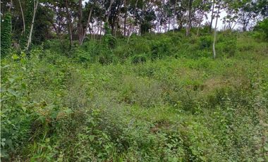 VENTA LOTE  SUROESTE ANTIOQUEÑO U C