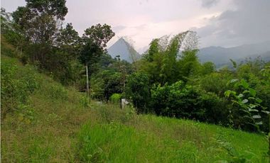 VENTA LOTE  SUROESTE ANTIOQUEÑO U C