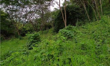 VENTA LOTE  SUROESTE ANTIOQUEÑO U C