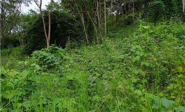 VENTA LOTE  SUROESTE ANTIOQUEÑO U C