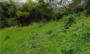 VENTA LOTE  SUROESTE ANTIOQUEÑO U C
