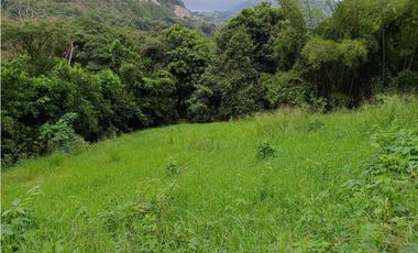 VENTA LOTE  SUROESTE ANTIOQUEÑO U C
