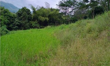 VENTA LOTE  SUROESTE ANTIOQUEÑO U C