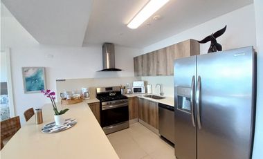 Punta Caelo 2 Bedroom Ocean Front Condo